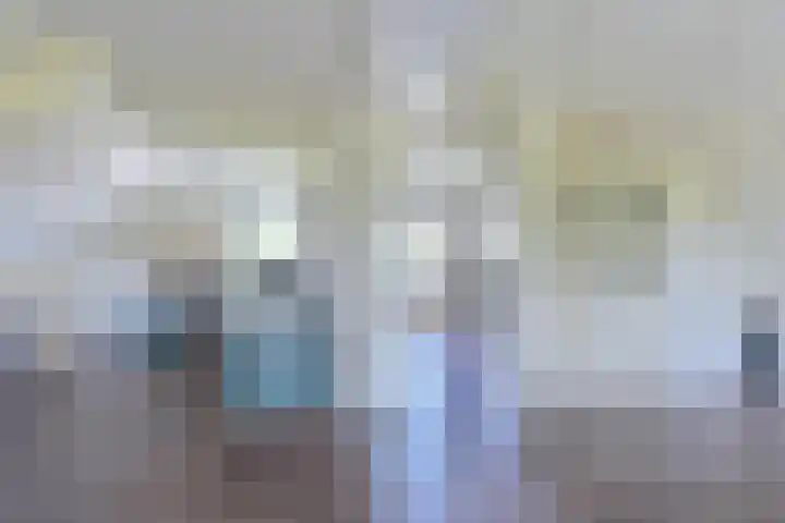 Zilverdenlaan 10 Exloo thumbnail 49