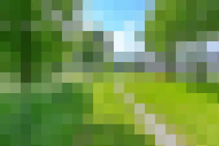 Zilverdenlaan 10 Exloo thumbnail 5