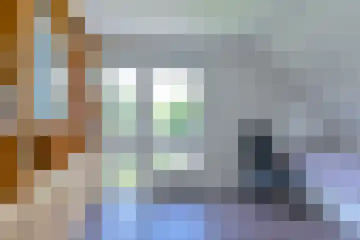 Zilverdenlaan 10 Exloo thumbnail 51