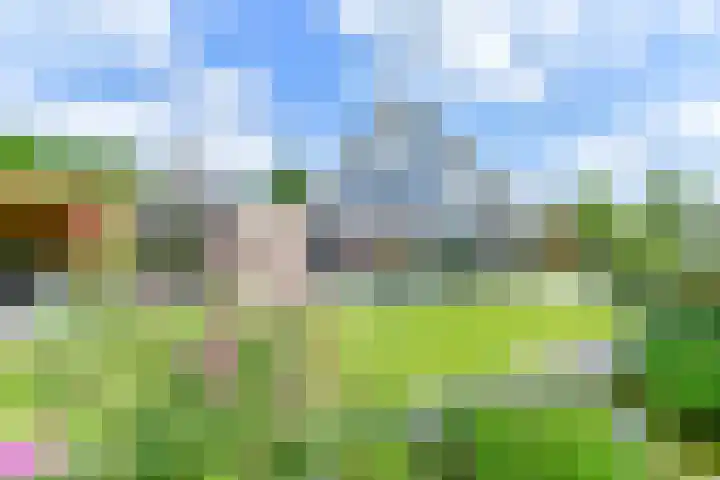 Zilverdenlaan 10 Exloo thumbnail 55