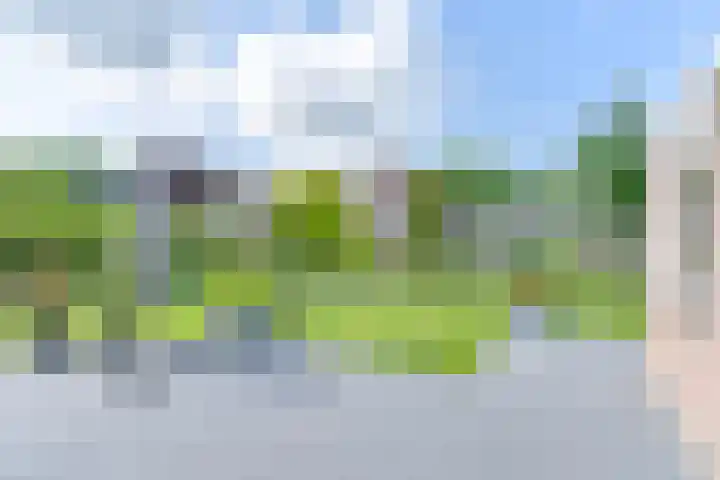Zilverdenlaan 10 Exloo thumbnail 56