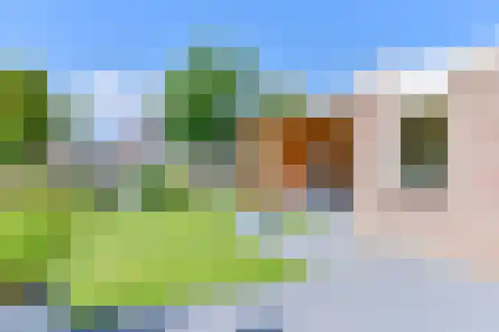 Zilverdenlaan 10 Exloo thumbnail 57