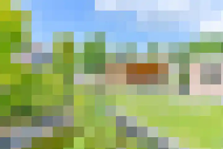 Zilverdenlaan 10 Exloo thumbnail 59