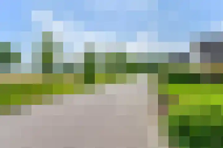 Zilverdenlaan 10 Exloo thumbnail 6