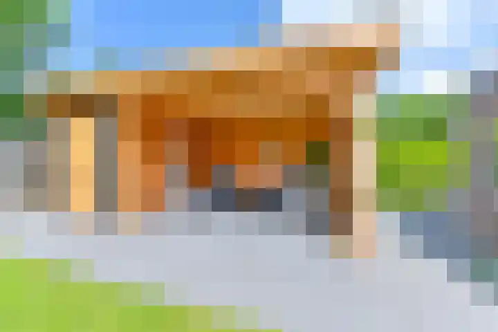 Zilverdenlaan 10 Exloo thumbnail 60