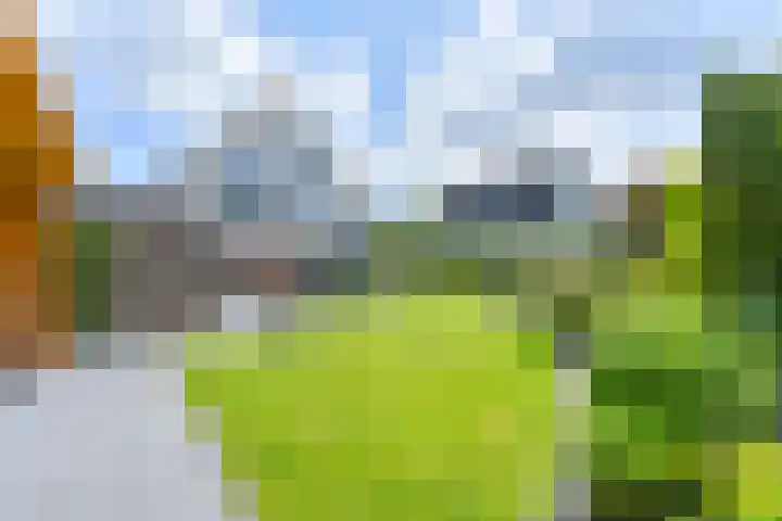Zilverdenlaan 10 Exloo thumbnail 63