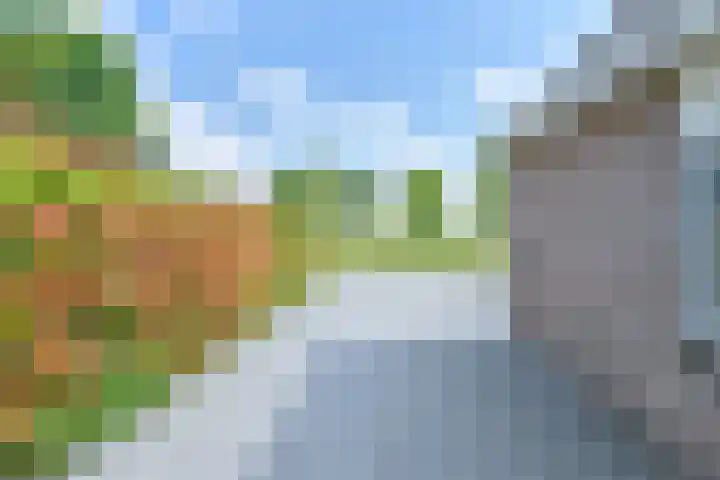 Zilverdenlaan 10 Exloo thumbnail 65