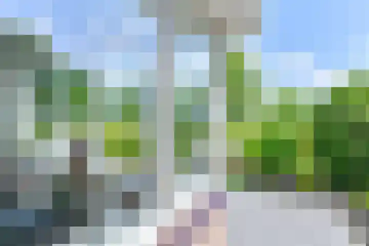 Zilverdenlaan 10 Exloo thumbnail 67