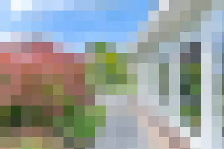 Zilverdenlaan 10 Exloo thumbnail 68