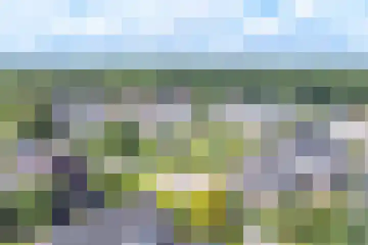 Zilverdenlaan 10 Exloo thumbnail 69