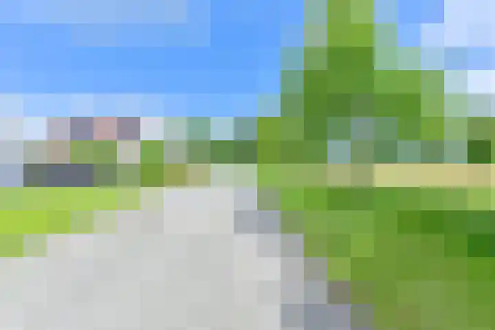 Zilverdenlaan 10 Exloo thumbnail 7