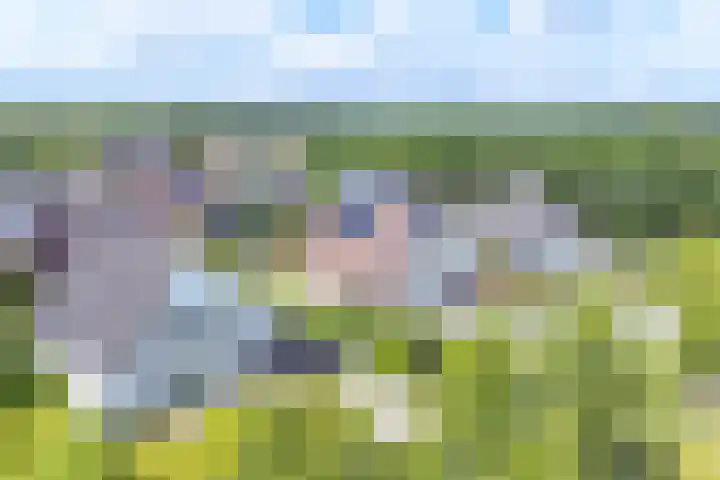 Zilverdenlaan 10 Exloo thumbnail 70