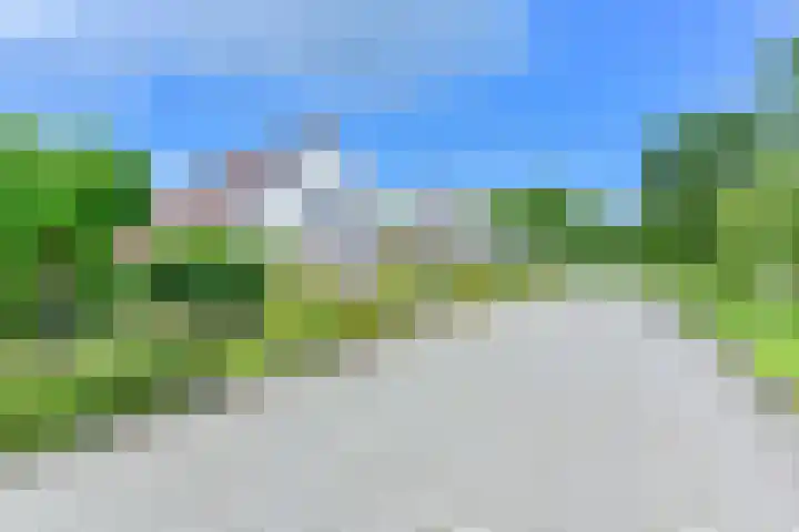Zilverdenlaan 10 Exloo thumbnail 8
