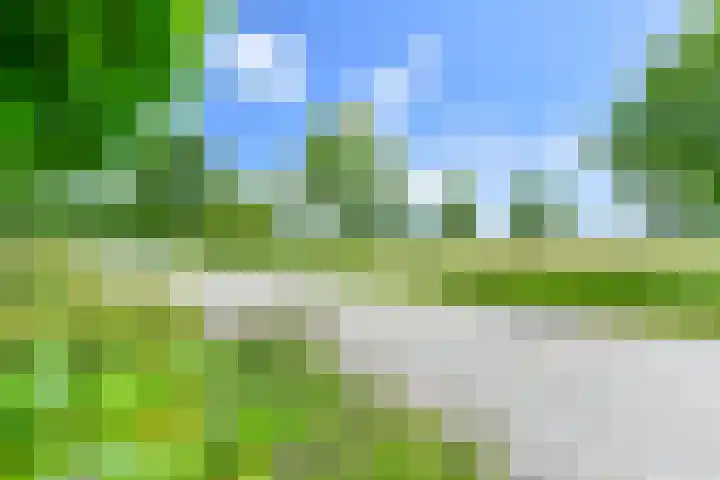 Zilverdenlaan 10 Exloo thumbnail 9