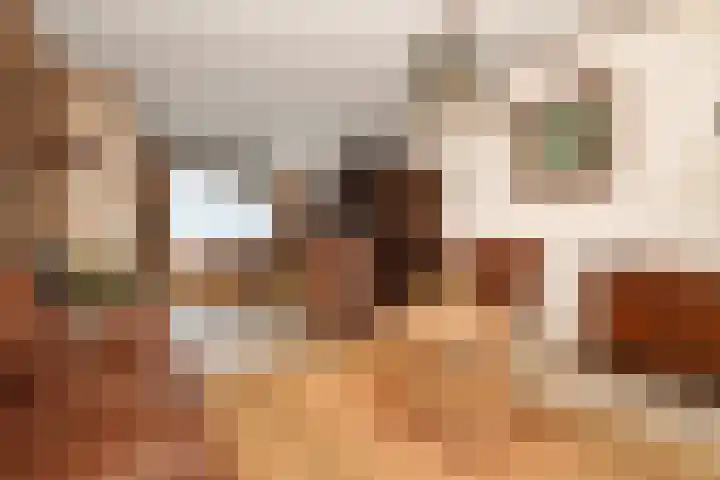 Zilverdenstraat 21 Steenbergen thumbnail 10
