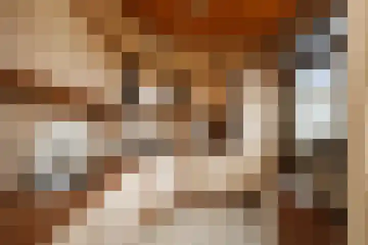 Zilverdenstraat 21 Steenbergen thumbnail 11