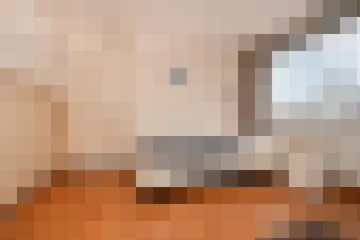 Zilverdenstraat 21 Steenbergen thumbnail 18