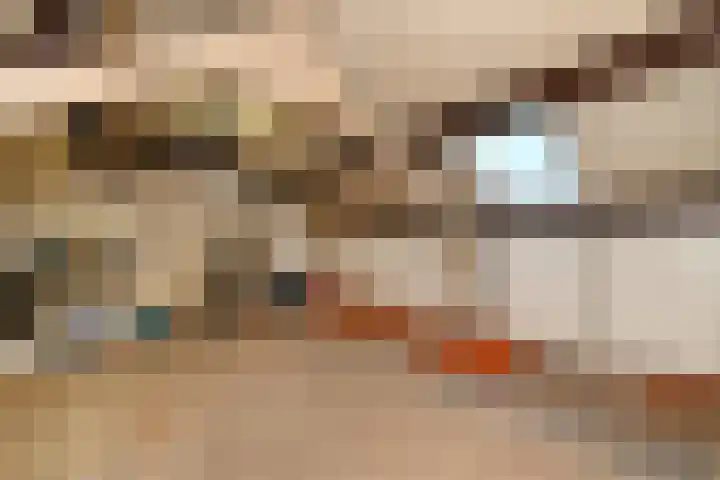 Zilverdenstraat 21 Steenbergen thumbnail 22