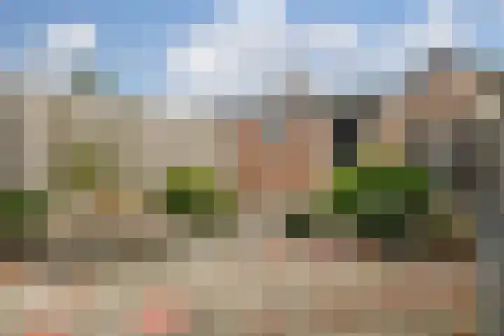 Zilverdenstraat 21 Steenbergen thumbnail 24