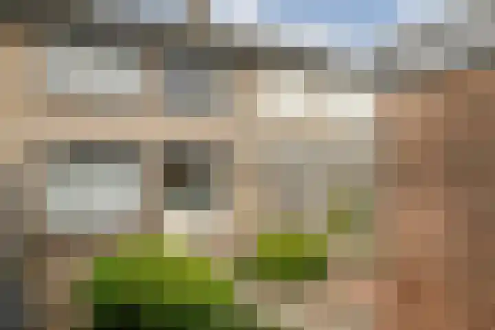 Zilverdenstraat 21 Steenbergen thumbnail 26
