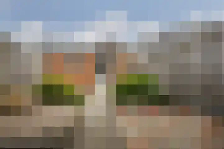 Zilverdenstraat 21 Steenbergen thumbnail 29