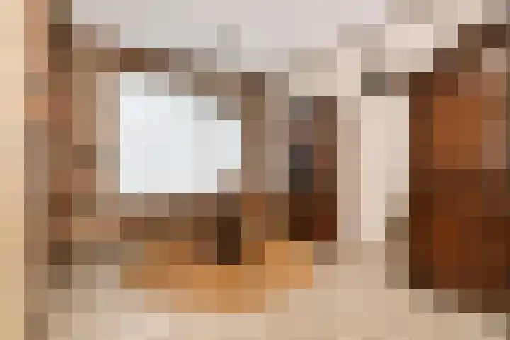 Zilverdenstraat 21 Steenbergen thumbnail 7