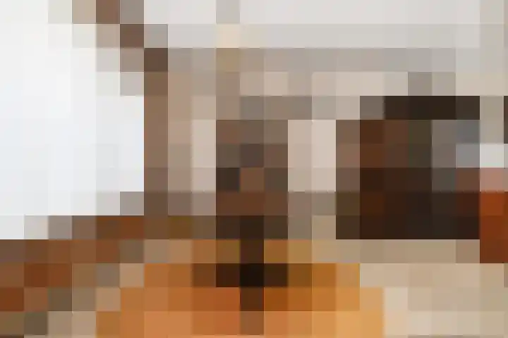 Zilverdenstraat 21 Steenbergen thumbnail 8