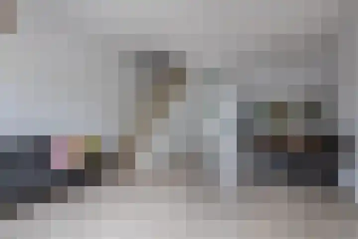 Zilverdistel 11 Rotterdam thumbnail 13