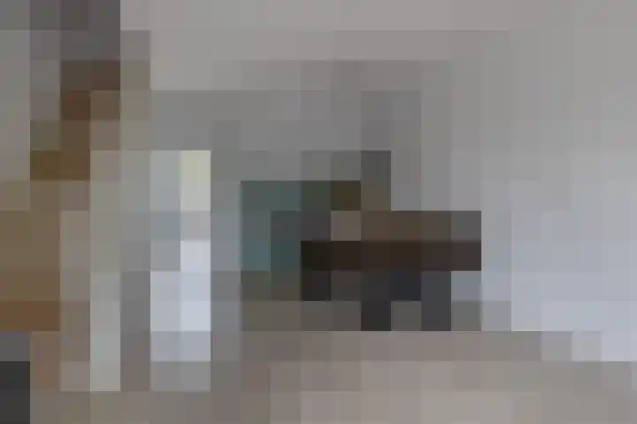 Zilverdistel 11 Rotterdam thumbnail 15