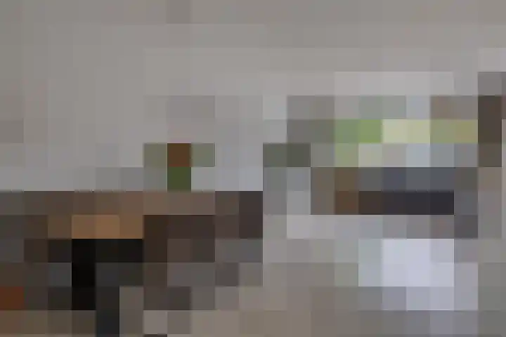 Zilverdistel 11 Rotterdam thumbnail 16