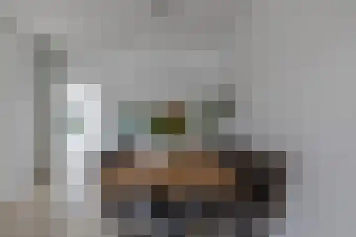Zilverdistel 11 Rotterdam thumbnail 17