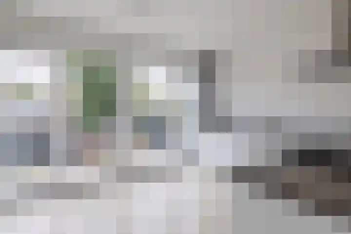 Zilverdistel 11 Rotterdam thumbnail 21