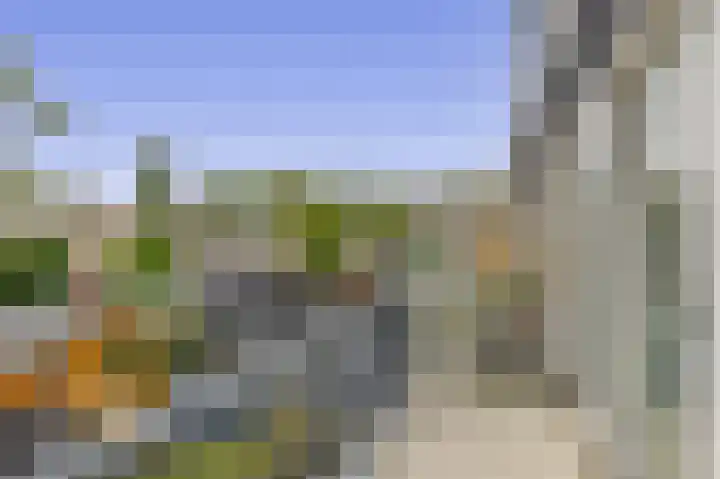 Zilverdistel 11 Rotterdam thumbnail 22