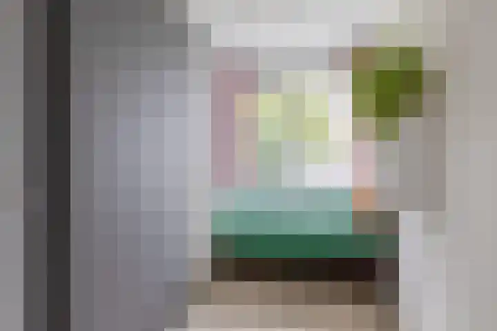 Zilverdistel 11 Rotterdam thumbnail 32