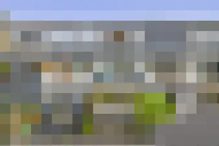 Zilverdistel 11 Rotterdam thumbnail 34