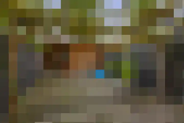 Zilverdistel 11 Rotterdam thumbnail 36