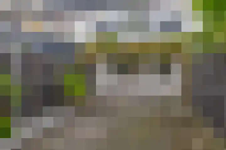 Zilverdistel 11 Rotterdam thumbnail 4
