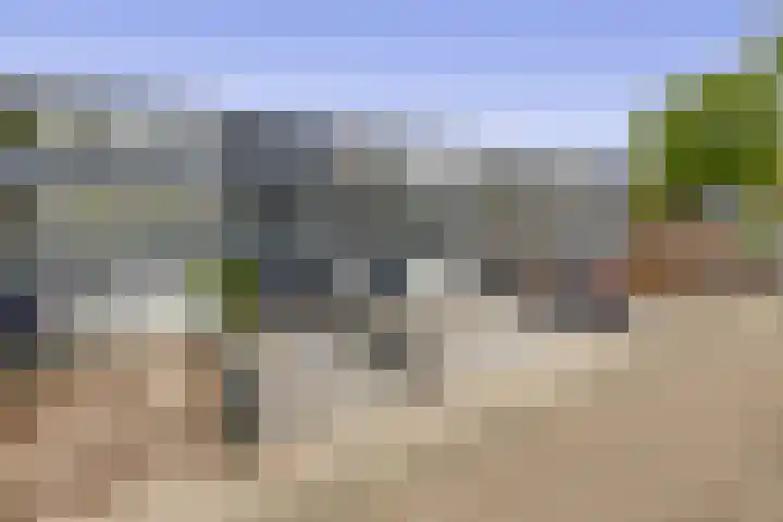 Zilverdistel 11 Rotterdam thumbnail 41