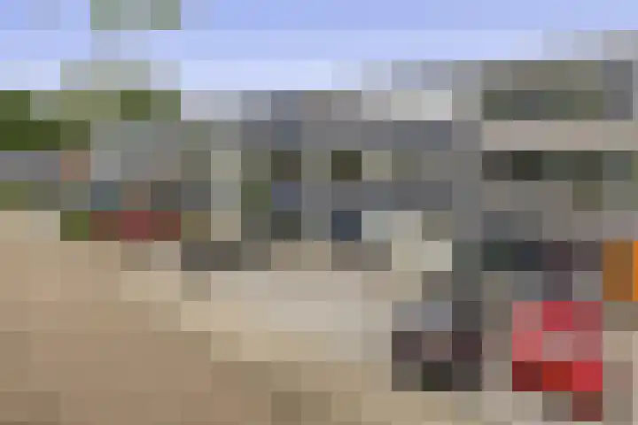 Zilverdistel 11 Rotterdam thumbnail 5