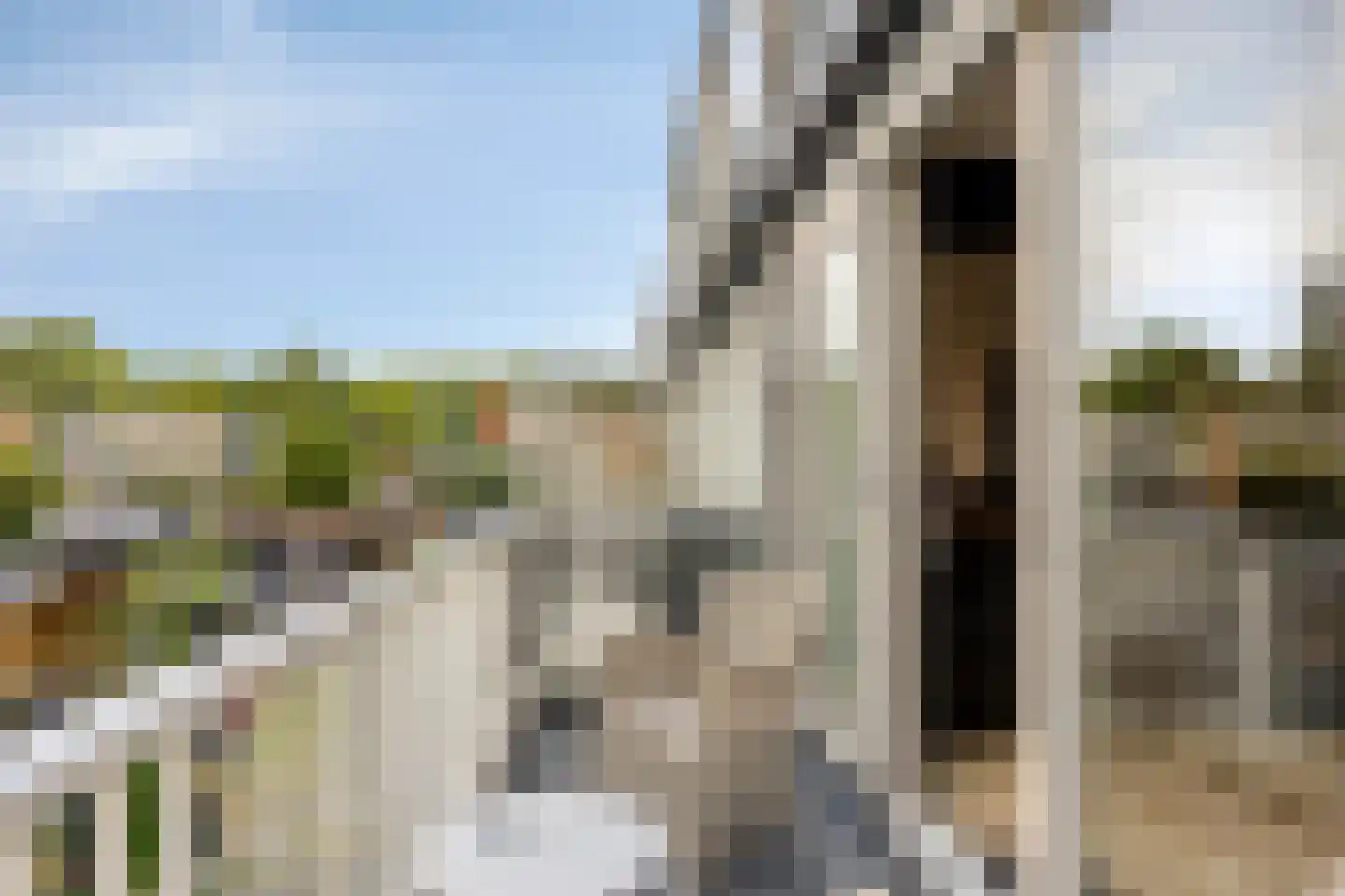 Zilverdistel 13 Rotterdam thumbnail 16