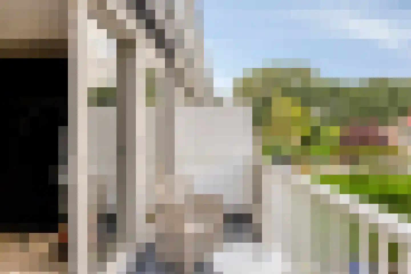 Zilverdistel 13 Rotterdam thumbnail 17