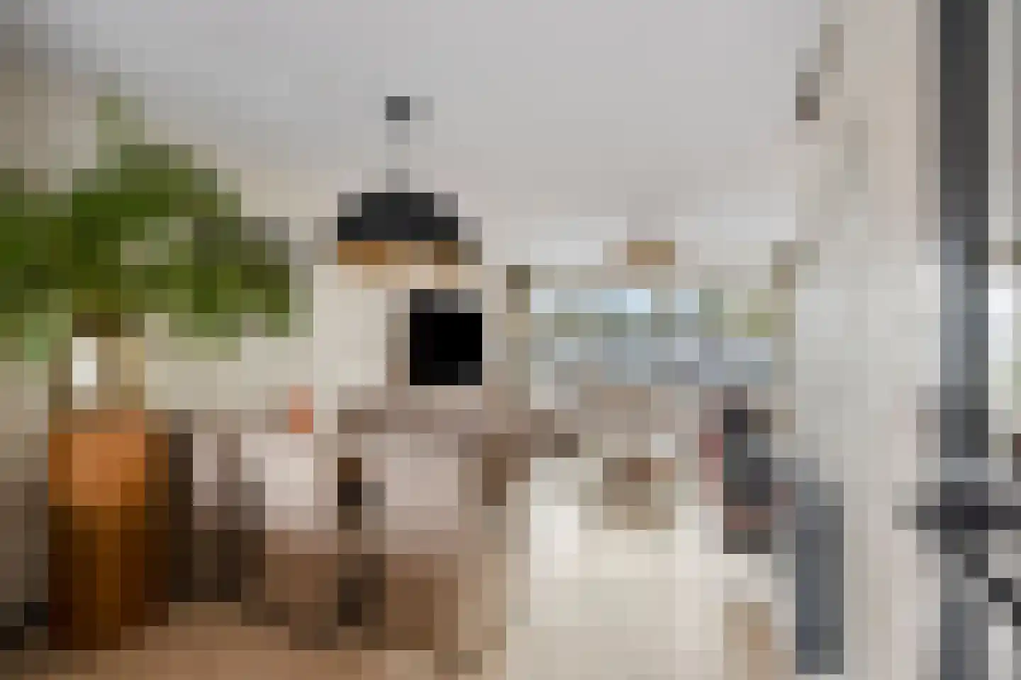 Zilverdistel 13 Rotterdam thumbnail 19