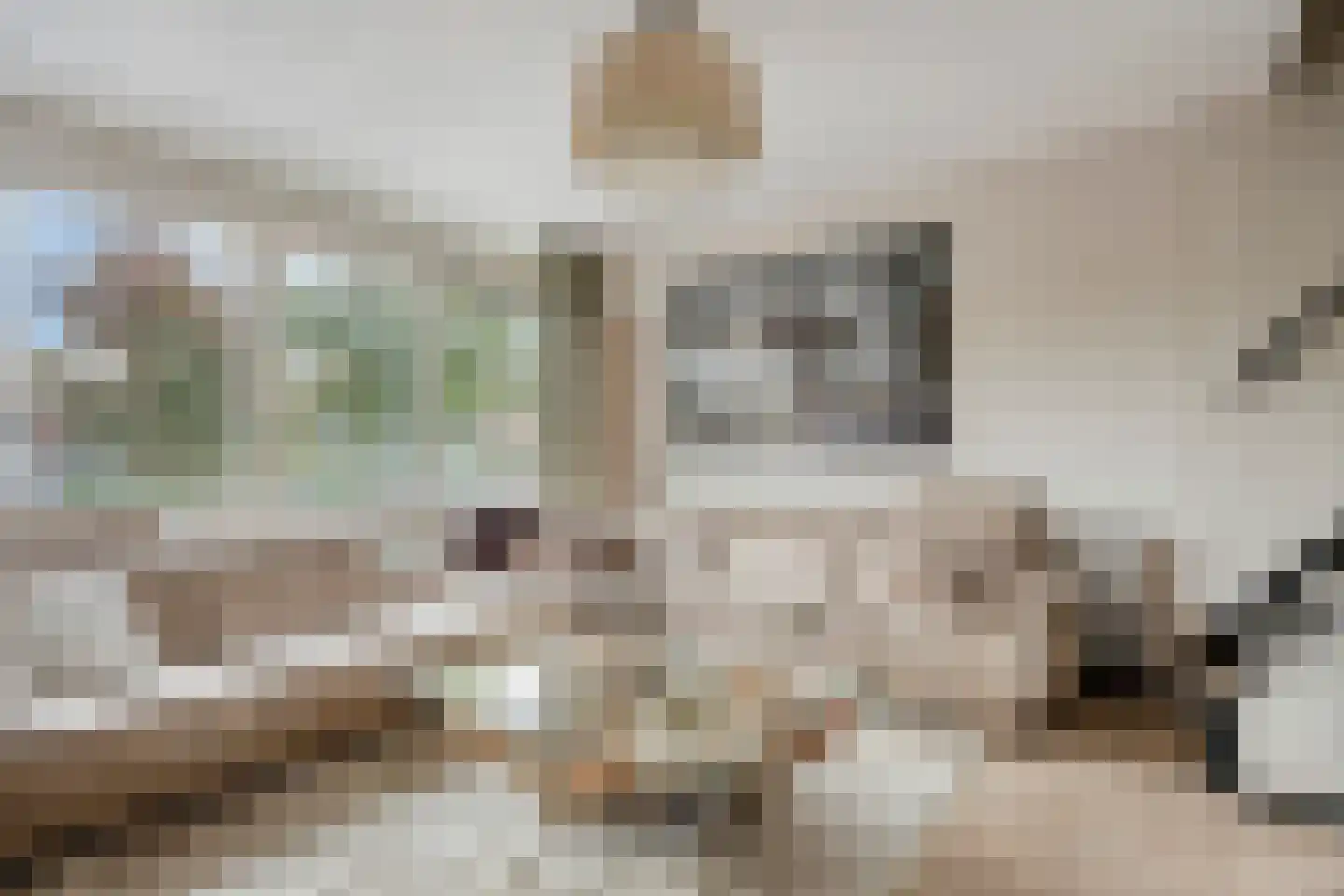 Zilverdistel 13 Rotterdam thumbnail 22