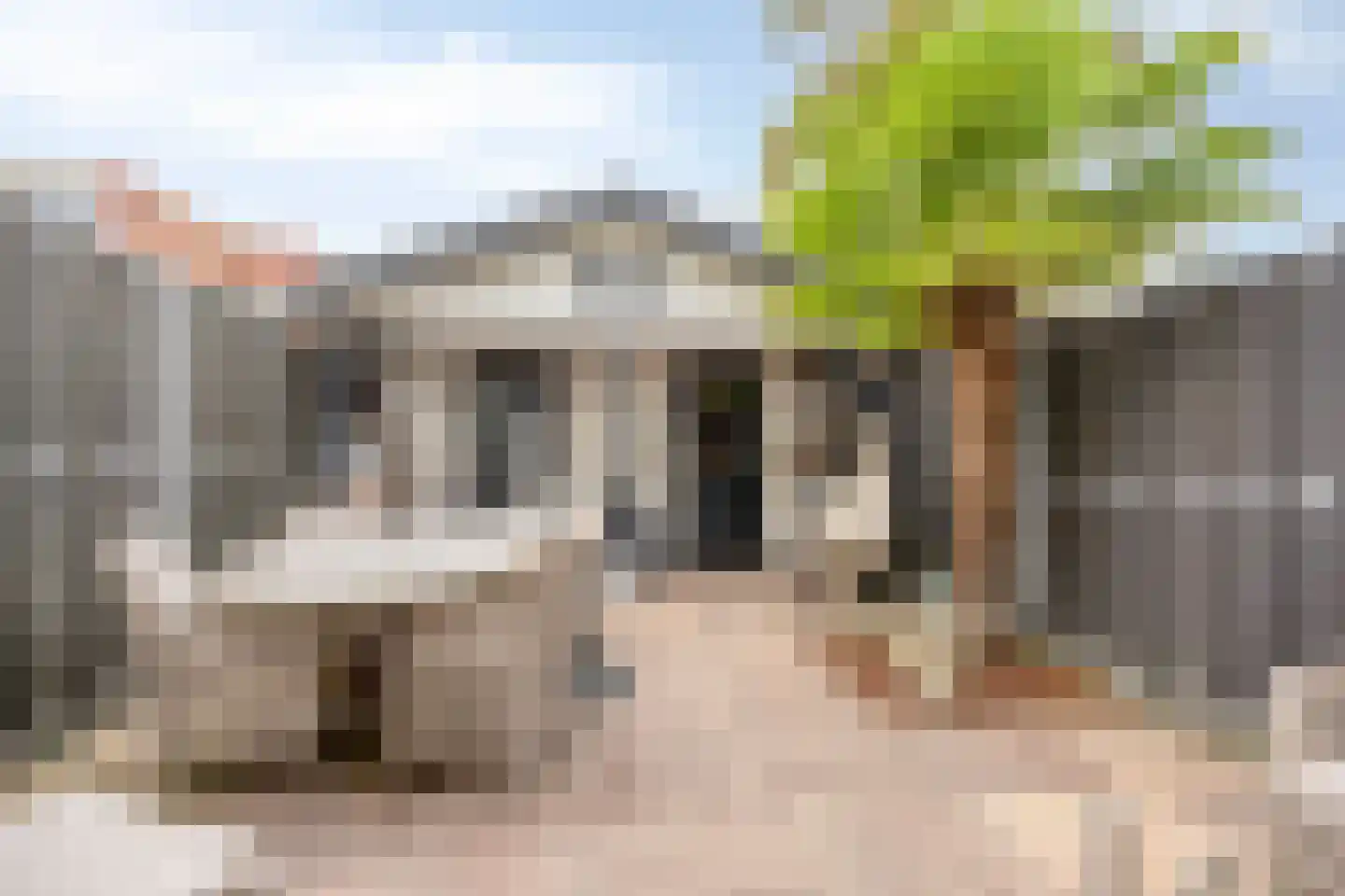 Zilverdistel 13 Rotterdam thumbnail 33