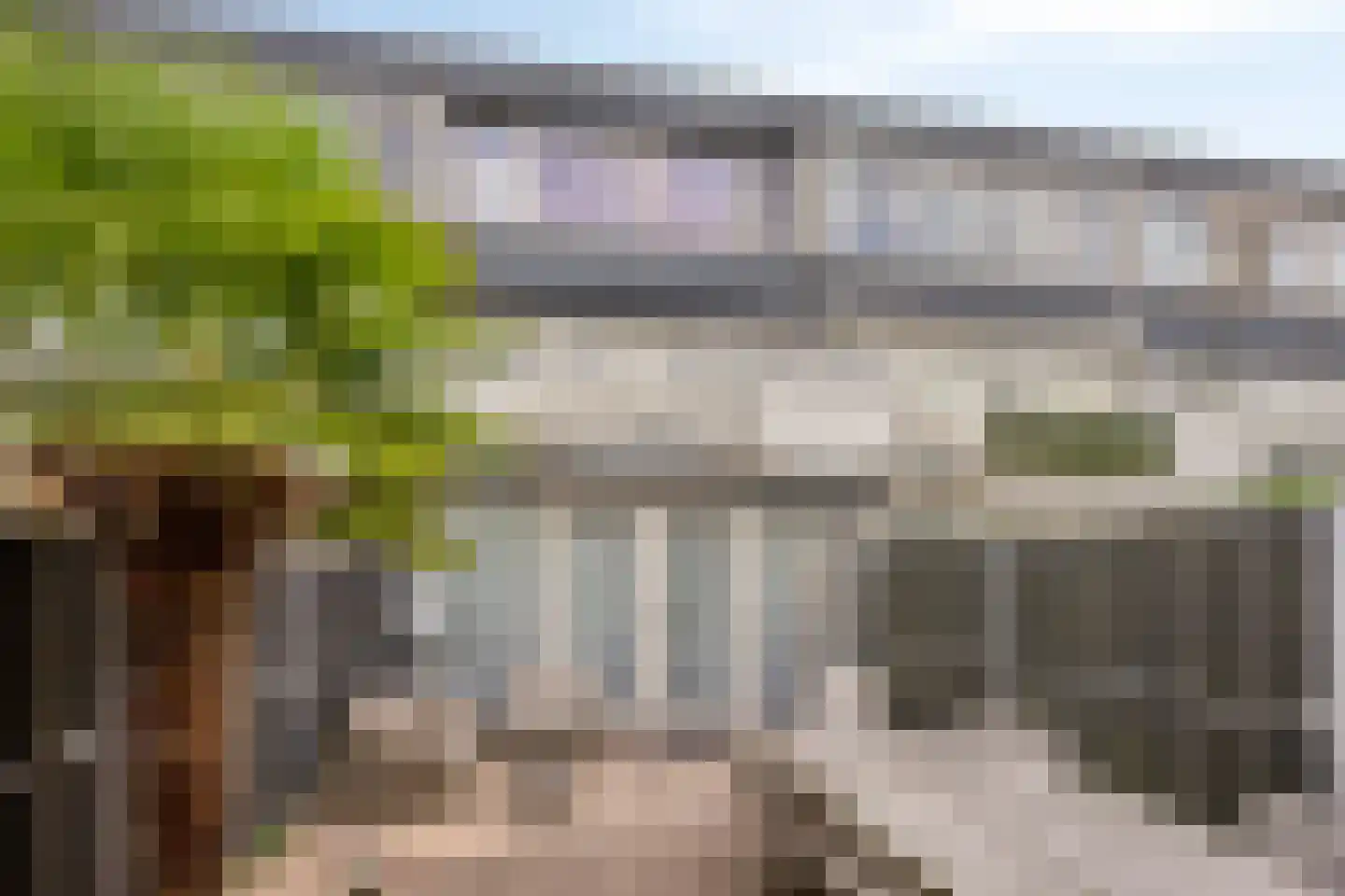Zilverdistel 13 Rotterdam thumbnail 34