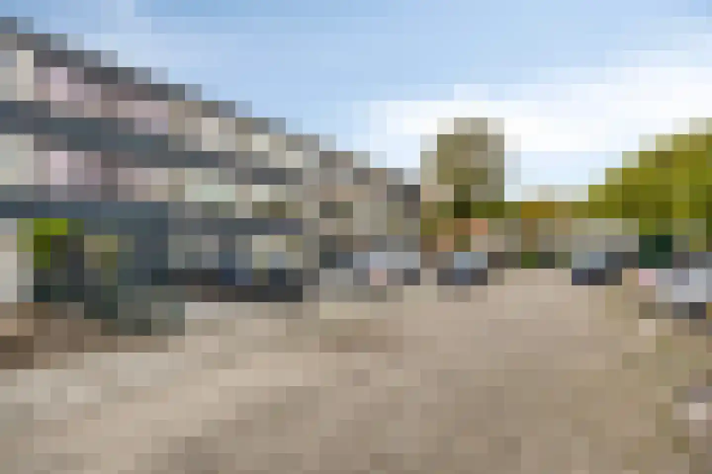 Zilverdistel 13 Rotterdam thumbnail 35