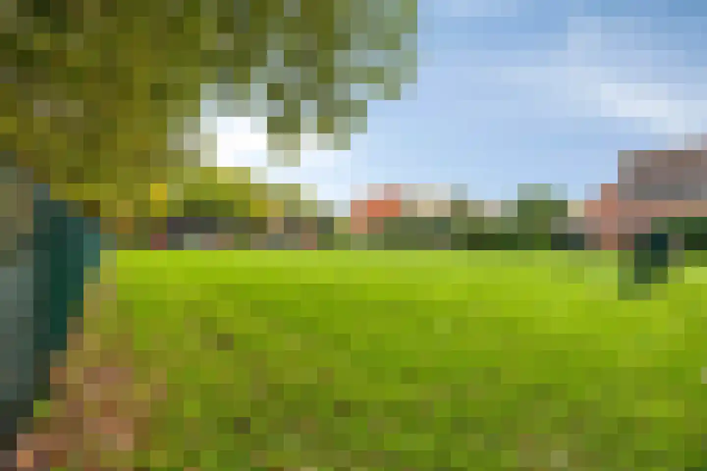 Zilverdistel 13 Rotterdam thumbnail 37