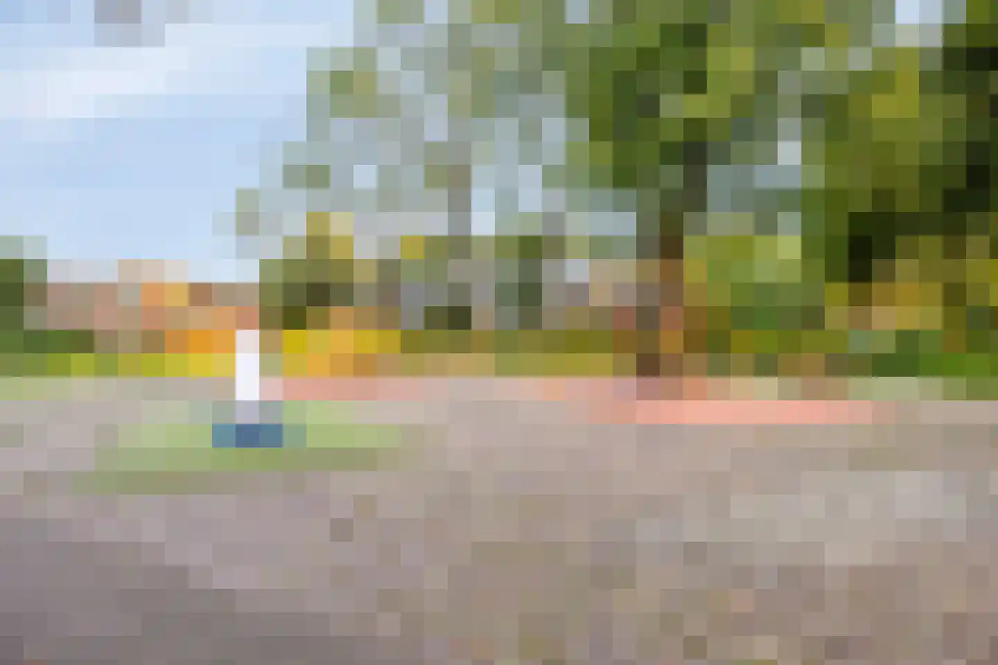 Zilverdistel 13 Rotterdam thumbnail 39