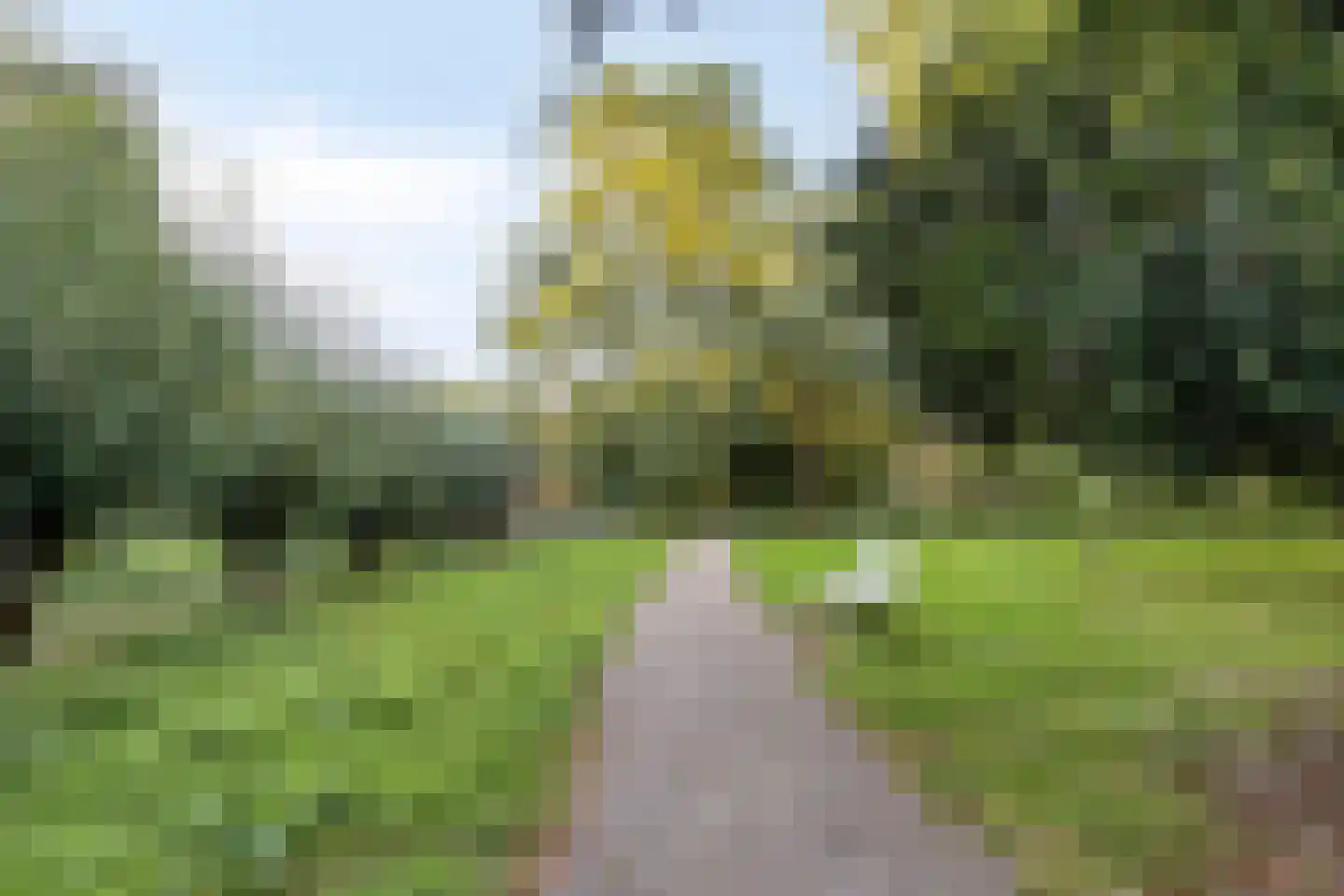 Zilverdistel 13 Rotterdam thumbnail 40