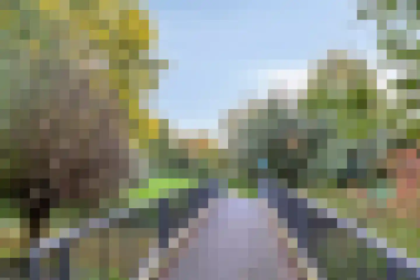 Zilverdistel 13 Rotterdam thumbnail 41